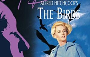 youga-1963-the-birds