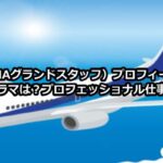 中山弓子・ANA／航空ドラマを紹介！飛行機模型・機内食通販は？／プロフェッショナル仕事の流儀